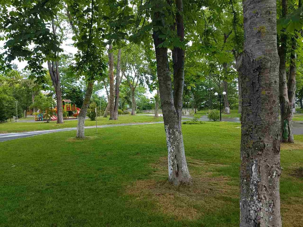 Villa Salena Primorsko Exterior photo
